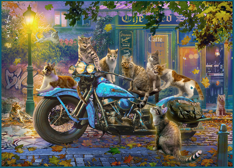JPK - Cats and Motorcycle
