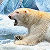 Jan Patrik Krasny bookcovers gallery - Arctic Bears