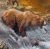 Jan Patrik Krasny bookcovers gallery -  Bears on River