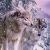 Jan Patrik Krasny bookcovers gallery - Wolves on winter mountains I.