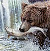 Jan Patrik Krasny bookcovers gallery - Bears on River