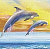 Jan Patrik Krasny bookcovers gallery - Dolphins and Sailboat