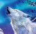 Jan Patrik Krasny bookcovers gallery - White wolves under the full moon