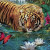Jan Patrik Krasny bookcovers gallery - Tigers idyll