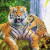 Jan Patrik Krasny bookcovers gallery - Tigers under a waterfall