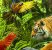 Jan Patrik Krasny bookcovers gallery - tigers in rainforest 1