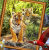 Jan Patrik Krasny bookcovers gallery - tigers in rainforest 2.