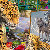 Jan Patrik Krasny bookcovers gallery - In the Painting Studio